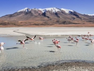 portadaperubolivia